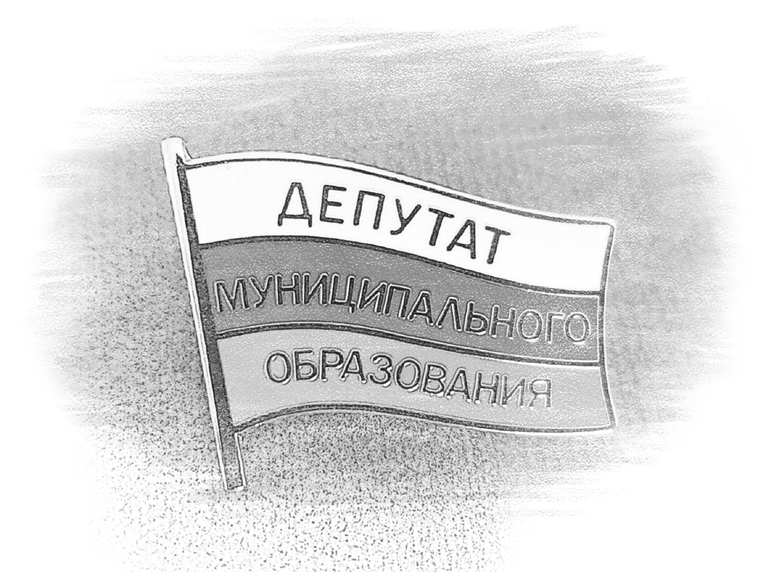 Организация местного самоуправления